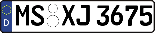 MS-XJ3675