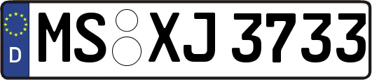 MS-XJ3733