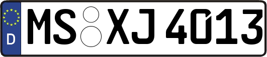 MS-XJ4013