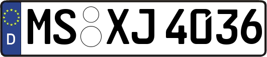 MS-XJ4036