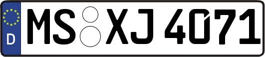 MS-XJ4071