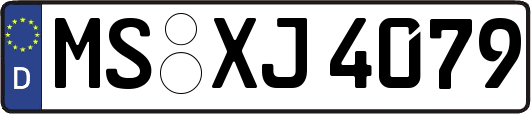 MS-XJ4079