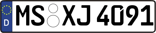MS-XJ4091