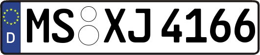 MS-XJ4166