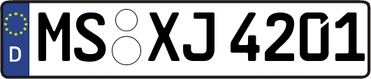 MS-XJ4201