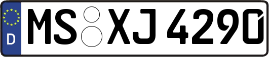 MS-XJ4290