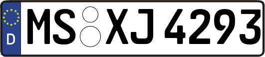 MS-XJ4293