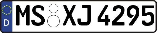 MS-XJ4295