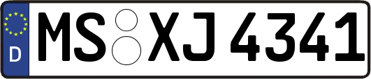 MS-XJ4341