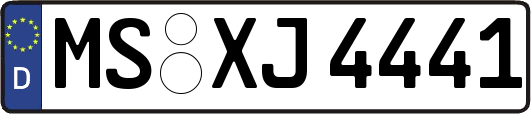 MS-XJ4441