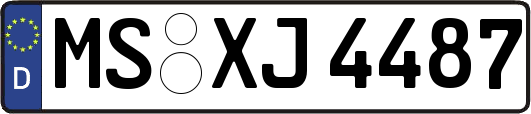 MS-XJ4487