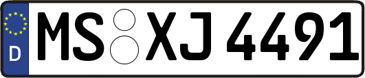 MS-XJ4491