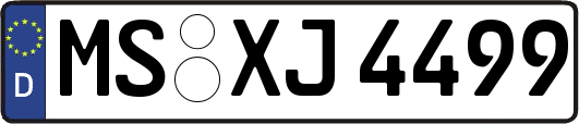 MS-XJ4499