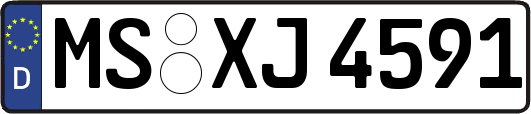 MS-XJ4591