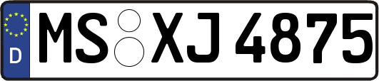MS-XJ4875