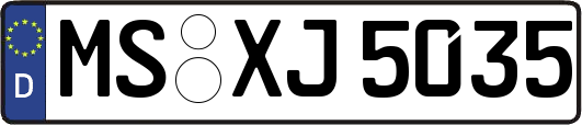 MS-XJ5035