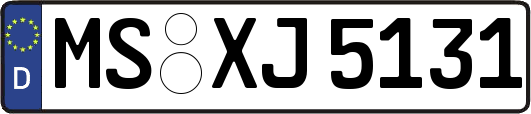 MS-XJ5131