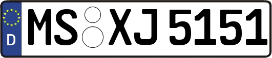 MS-XJ5151