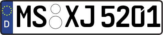 MS-XJ5201