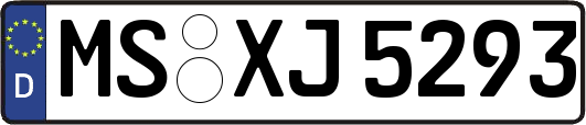 MS-XJ5293