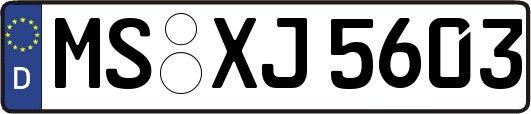 MS-XJ5603