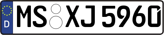 MS-XJ5960
