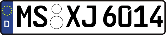 MS-XJ6014