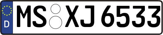 MS-XJ6533