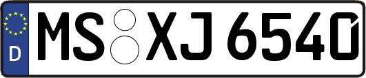 MS-XJ6540