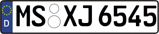 MS-XJ6545