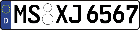MS-XJ6567