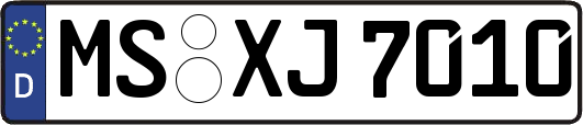 MS-XJ7010