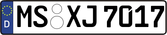 MS-XJ7017