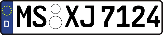 MS-XJ7124