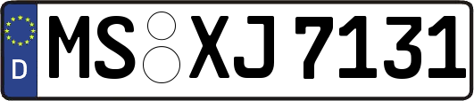 MS-XJ7131
