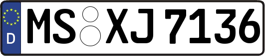MS-XJ7136