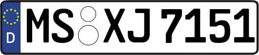 MS-XJ7151