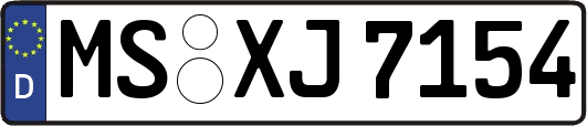 MS-XJ7154