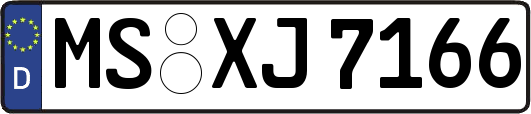 MS-XJ7166