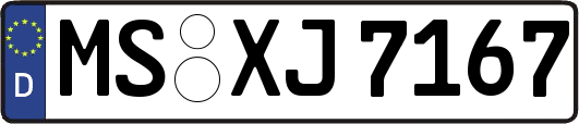 MS-XJ7167