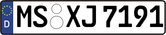 MS-XJ7191