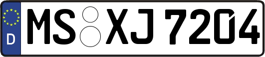 MS-XJ7204