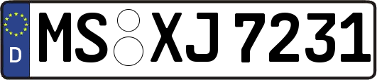 MS-XJ7231