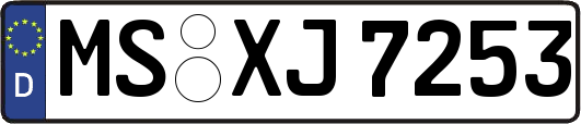 MS-XJ7253