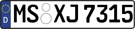 MS-XJ7315