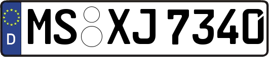MS-XJ7340