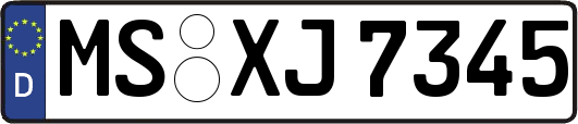 MS-XJ7345