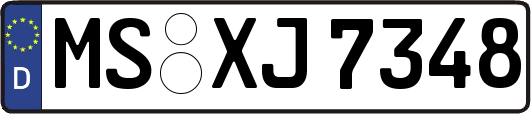 MS-XJ7348