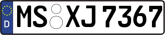 MS-XJ7367