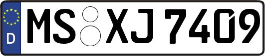 MS-XJ7409
